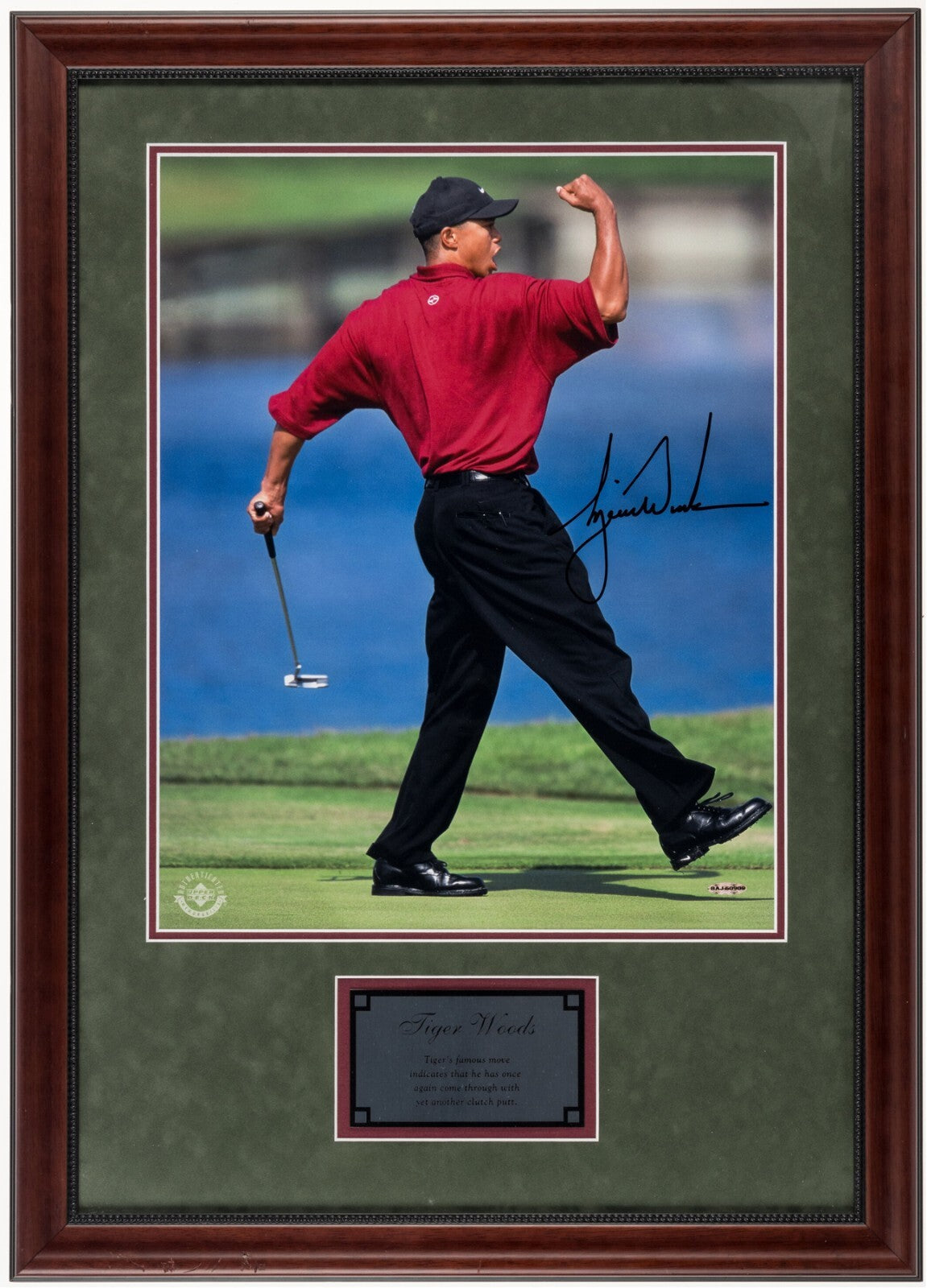 Tiger Woods 16x20 Signed Fist Pump Photo. Auto UDA Upper Deck0