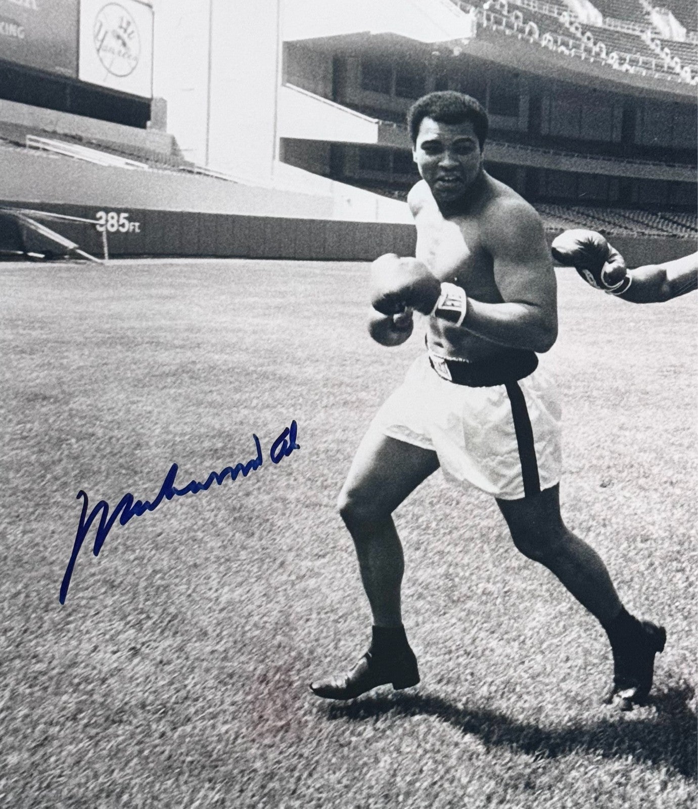 Muhammad Ali & Ken Norton Dual Signed 16" x 20" Photograph. PSA Gem Mint 10 Auto2