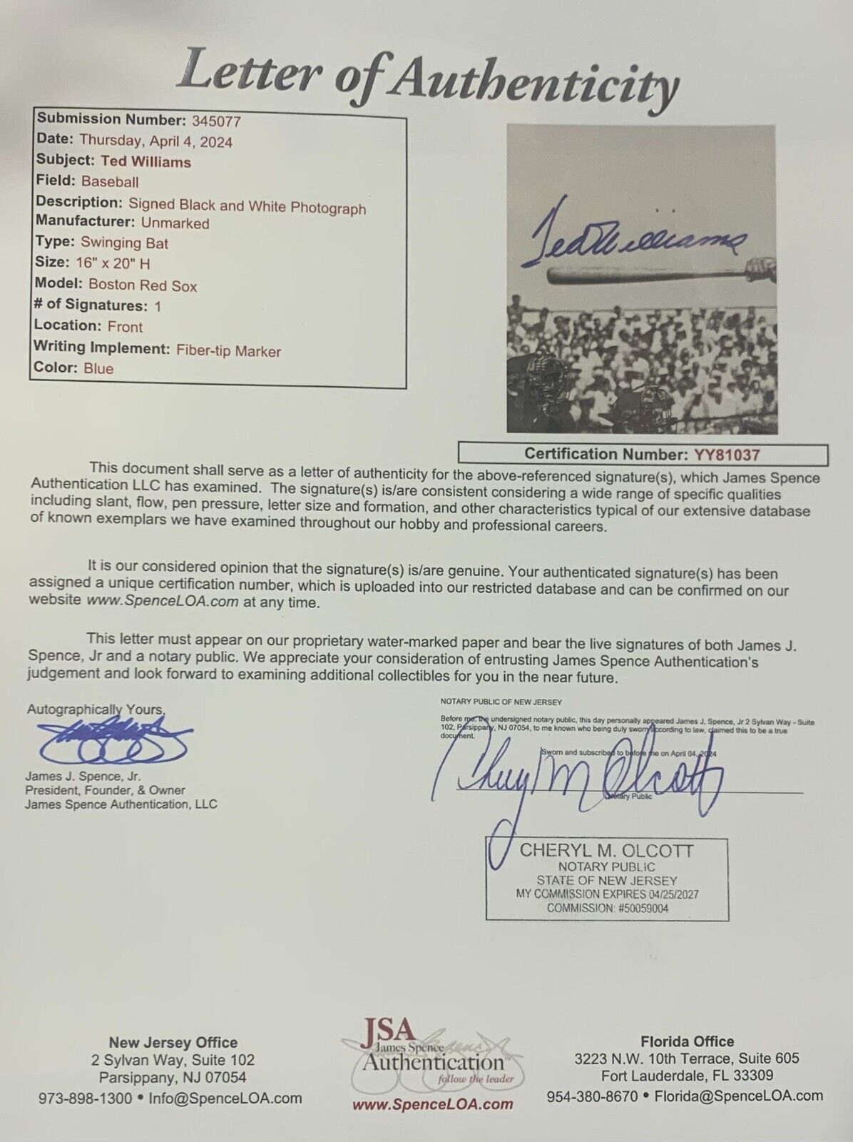 Ted Williams Signed 16x20 Action Shot Photo, Boston Red Sox. Auto JSA