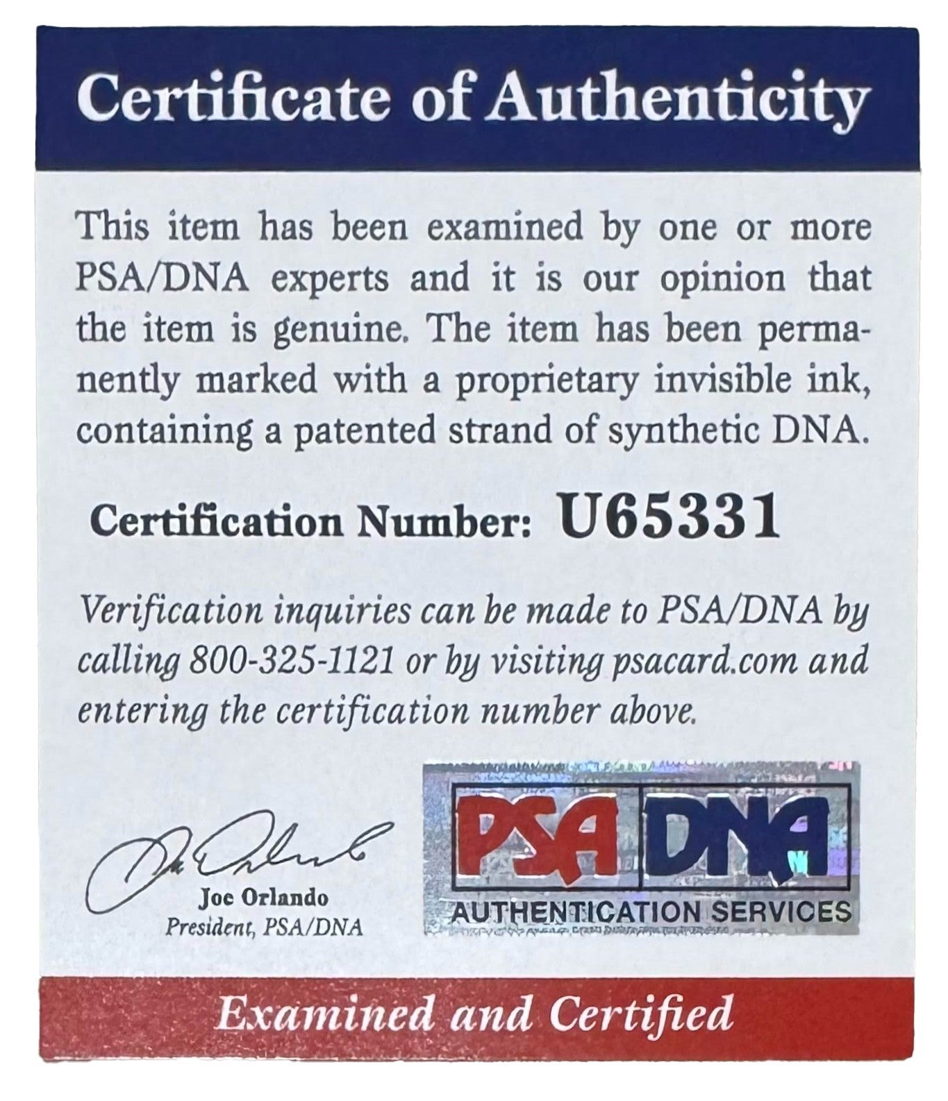 Kirby Puckett 1980s Single Baseball, Official American League. PSA3