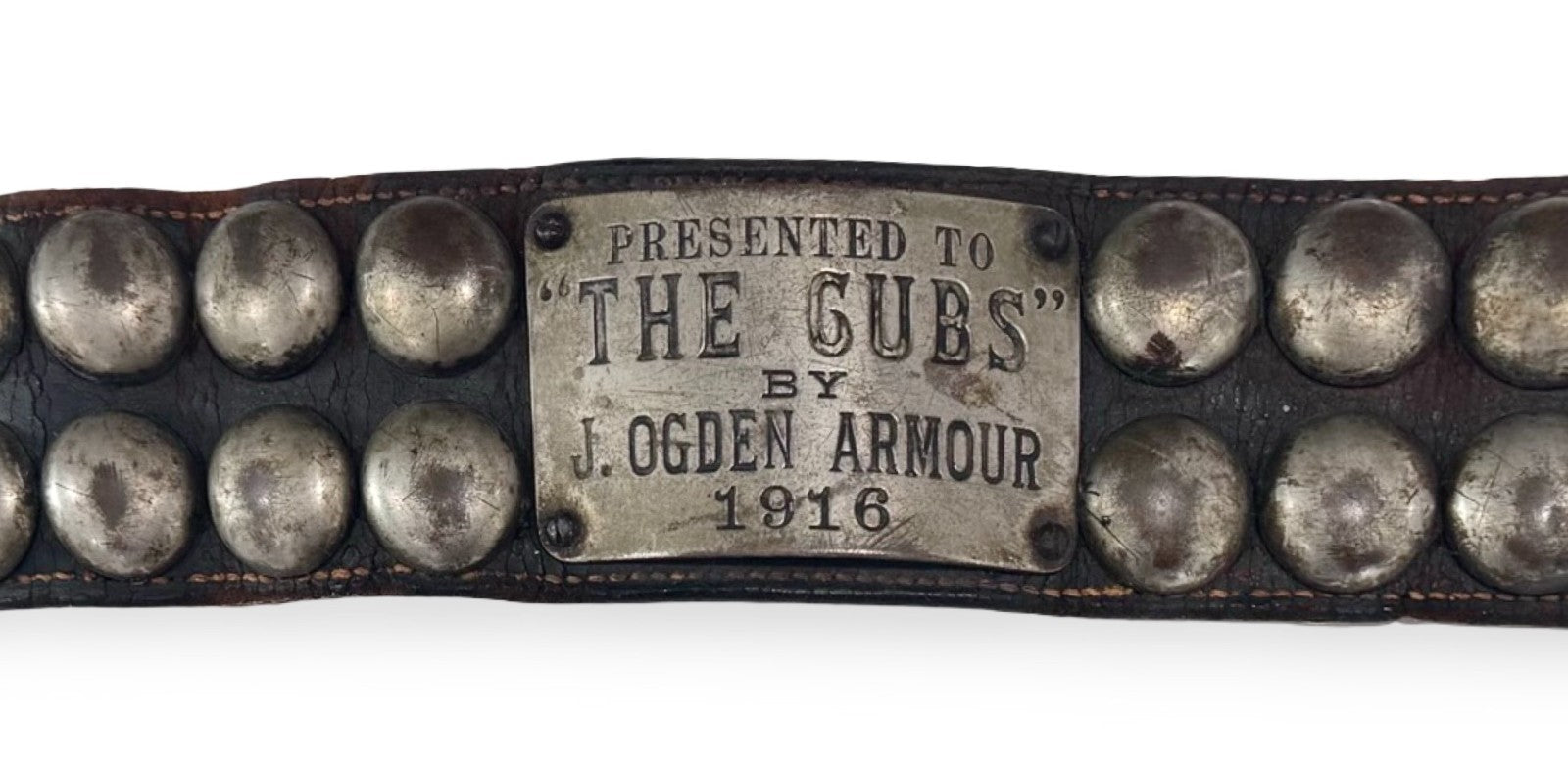 1916 Chicago Cubs Live Bear Cub Mascot Worn Collar6