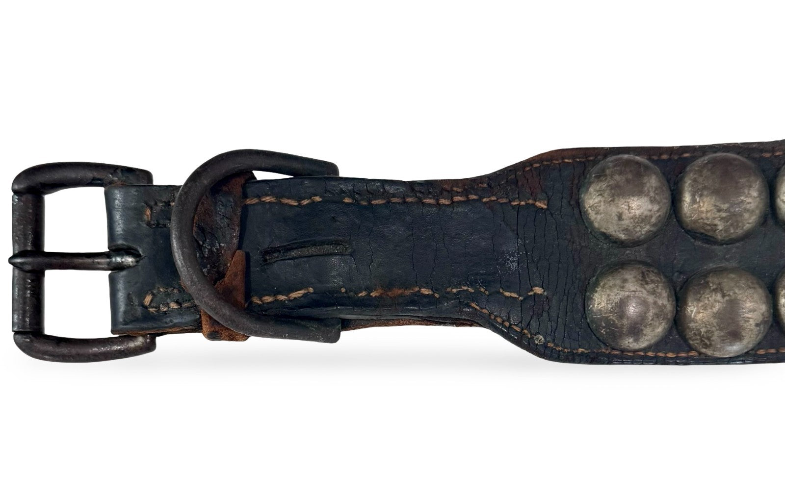 1916 Chicago Cubs Live Bear Cub Mascot Worn Collar5