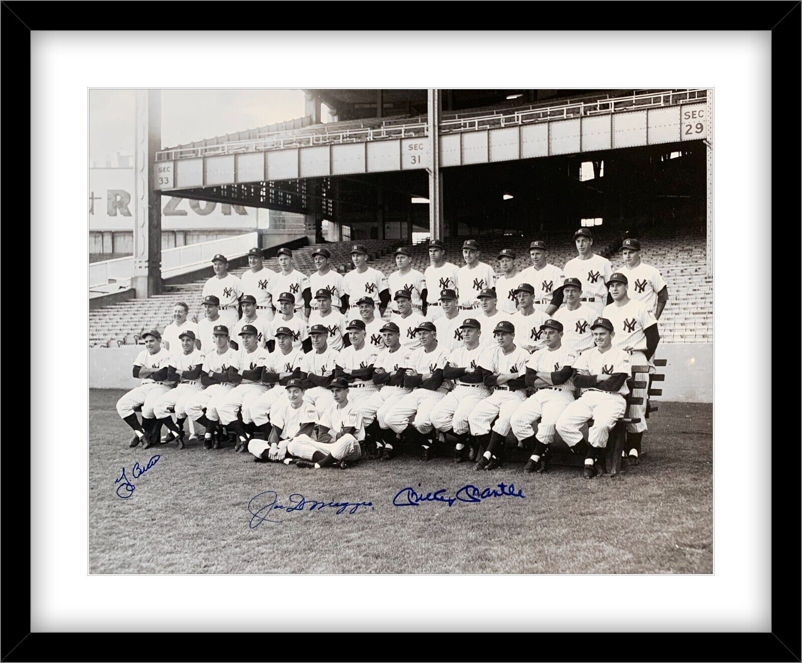 1951 New York Yankees Signed & Framed Photo. DiMaggio, Mantle, and Berra. JSA
