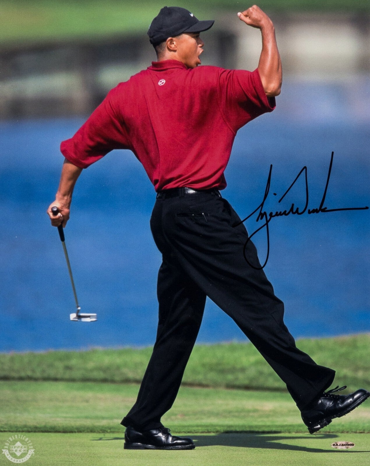 Tiger Woods 16x20 Signed Fist Pump Photo. Auto UDA Upper Deck1