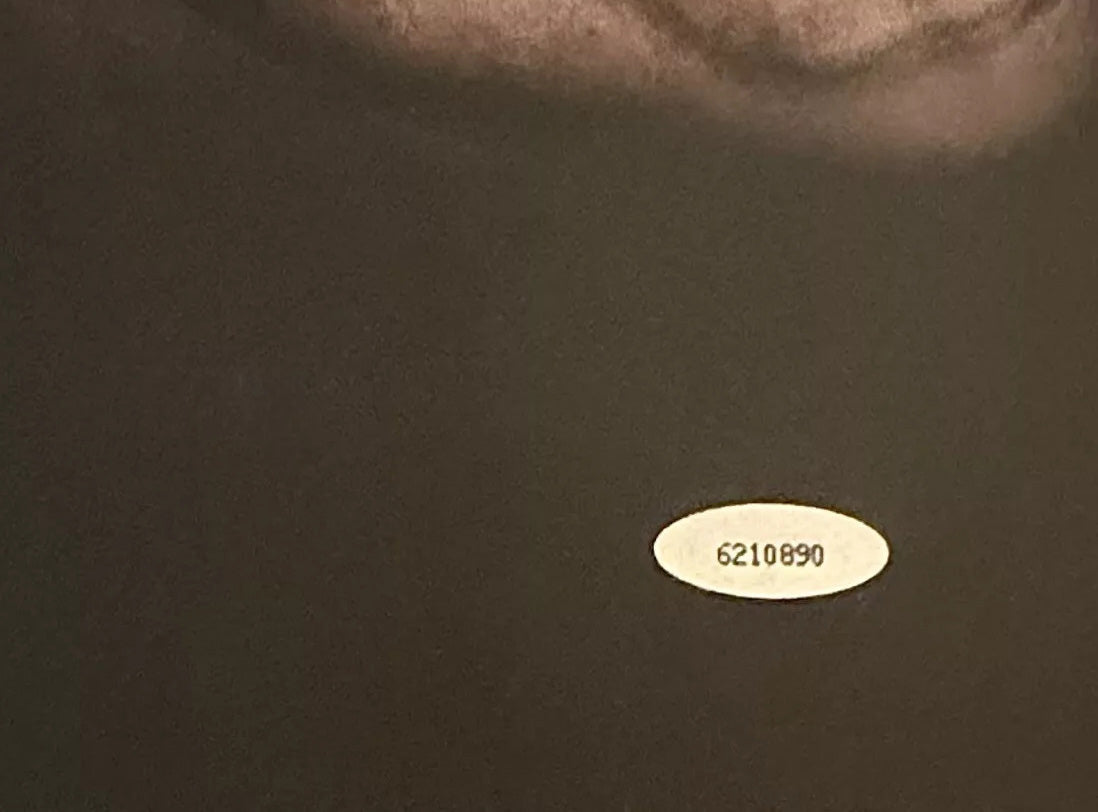 Bo Jackson Signed 16" x 20" Photo, Rare "Bo Knows" Image. TriStar