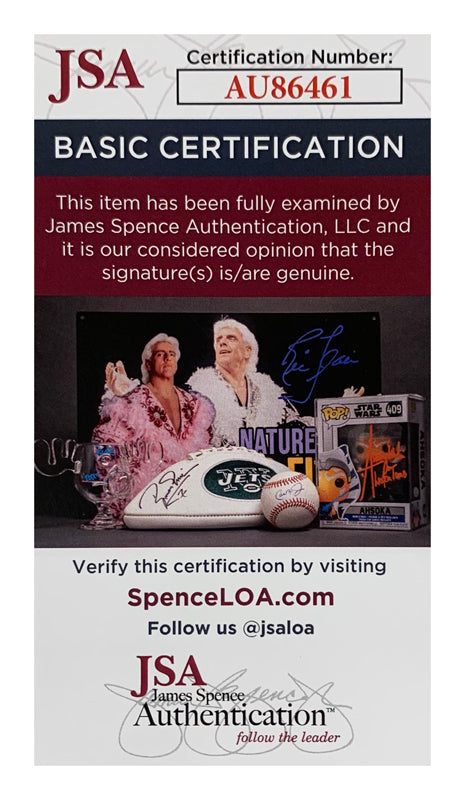 Taylor Swift Signed Oversized Photo, Framed. Auto JSA
