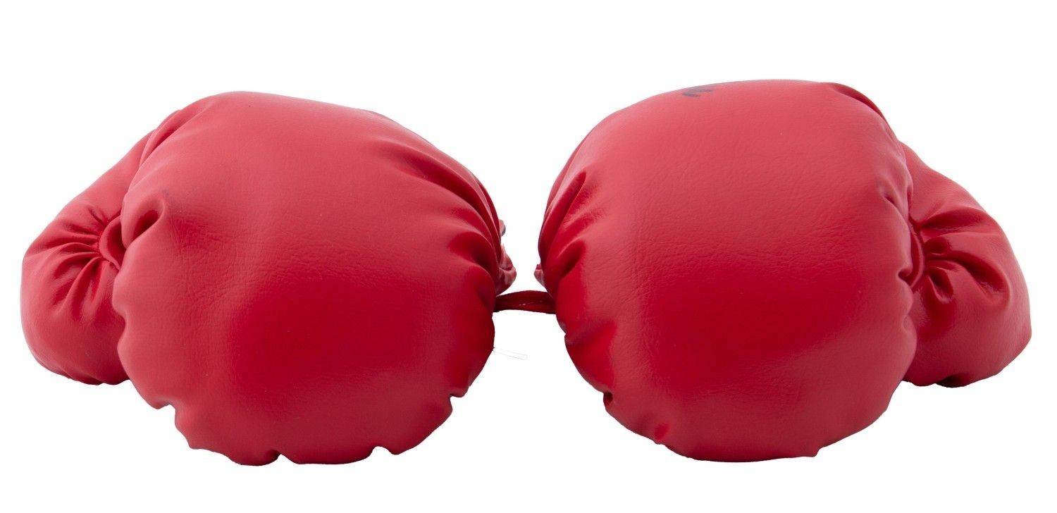Muhammad Ali Signed &amp; Inscribed Everlast Boxing Glove. JSA5