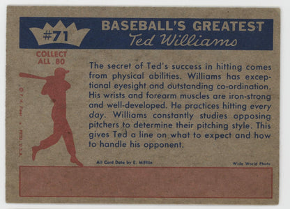 Ted Williams 1959 Fleer 