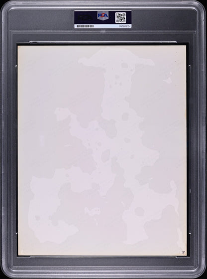 46293167