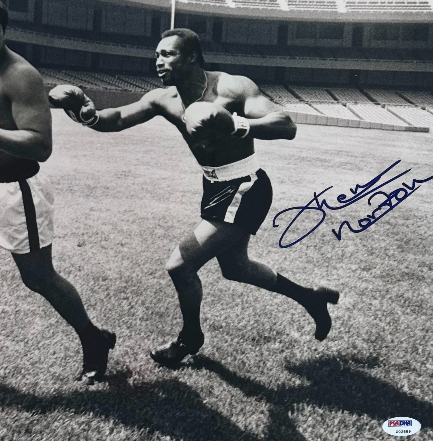 Muhammad Ali &amp; Ken Norton Dual Signed 16" x 20" Photograph. PSA Gem Mint 10 Auto3