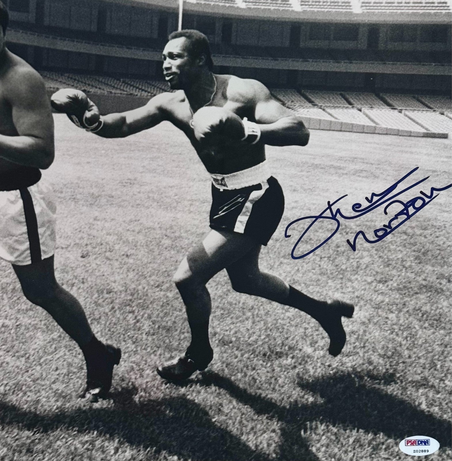 Muhammad Ali &amp; Ken Norton Dual Signed 16" x 20" Photograph. PSA Gem Mint 10 Auto3
