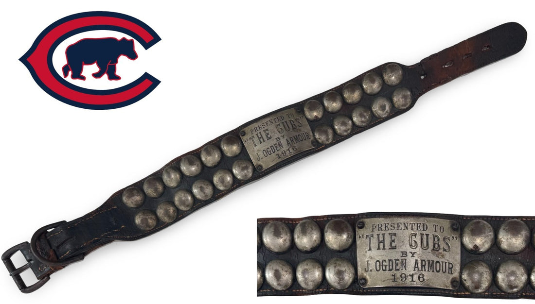 1916 Chicago Cubs Live Bear Cub Mascot Worn Collar0