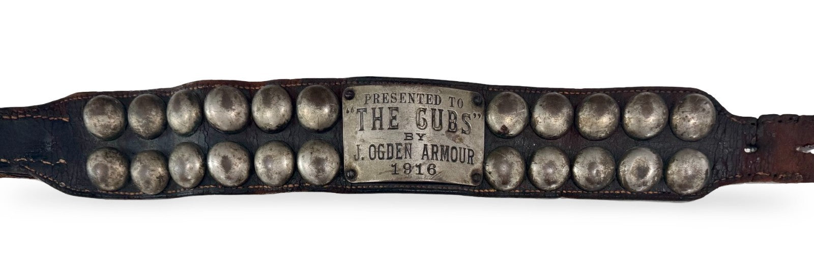 1916 Chicago Cubs Live Bear Cub Mascot Worn Collar3