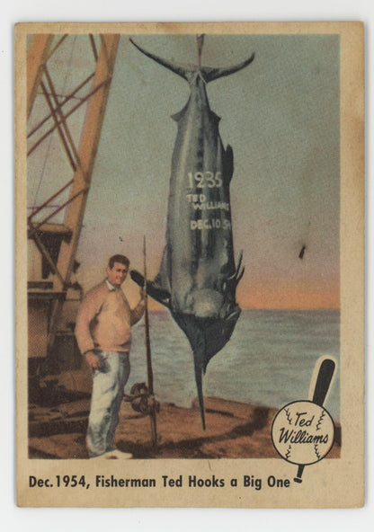 Ted Williams 1959 Fleer 