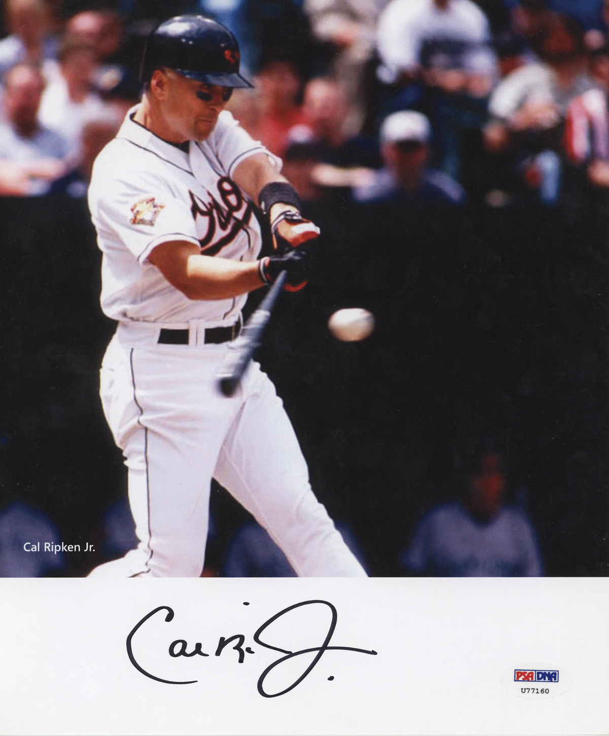 Ca Ripken Signature Cal Ripken Jr. Signed 8