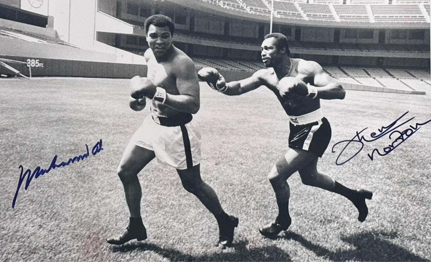 Muhammad Ali &amp; Ken Norton Dual Signed 16" x 20" Photograph. PSA Gem Mint 10 Auto1