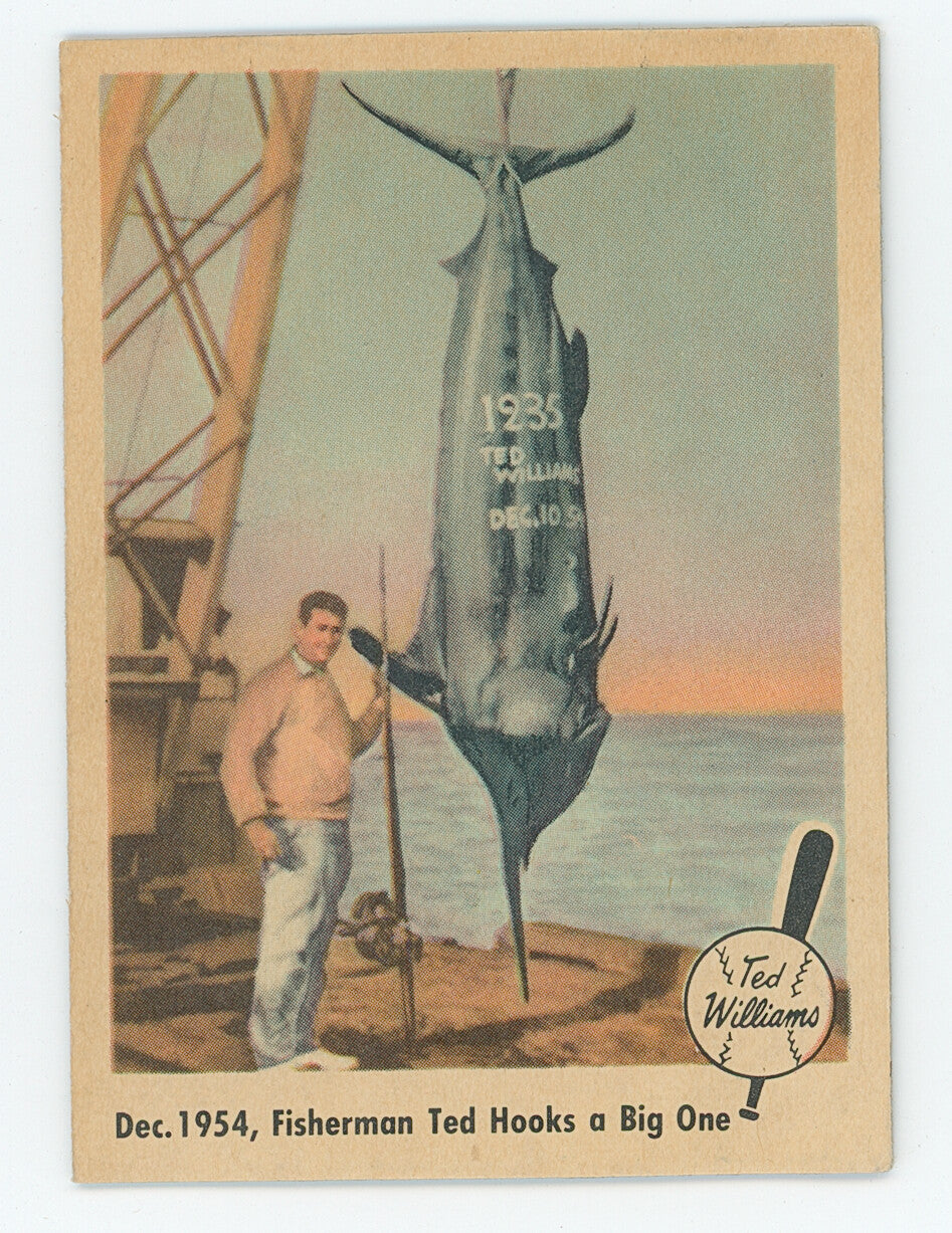1959 Fleer Ted Williams "Fisherman Ted Hooks a Big One". HOF Boston Red Sox. 