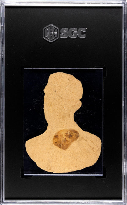 1888 Scrapps Tobacco Charles Comiskey SGC 11