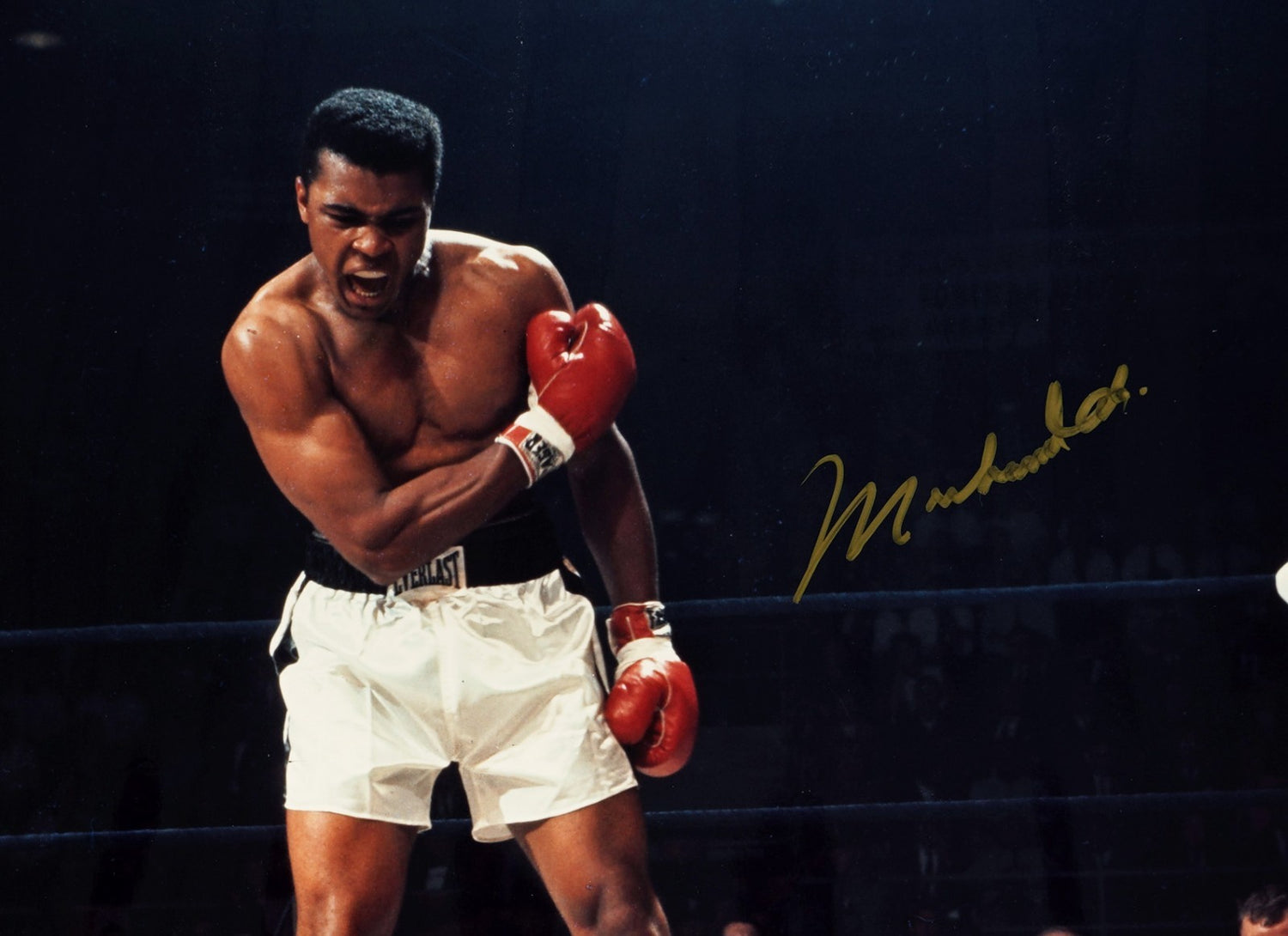 Muhammad Ali over Sonny Liston Signed 16x20 Photo. 1965 Heavyweight Title1