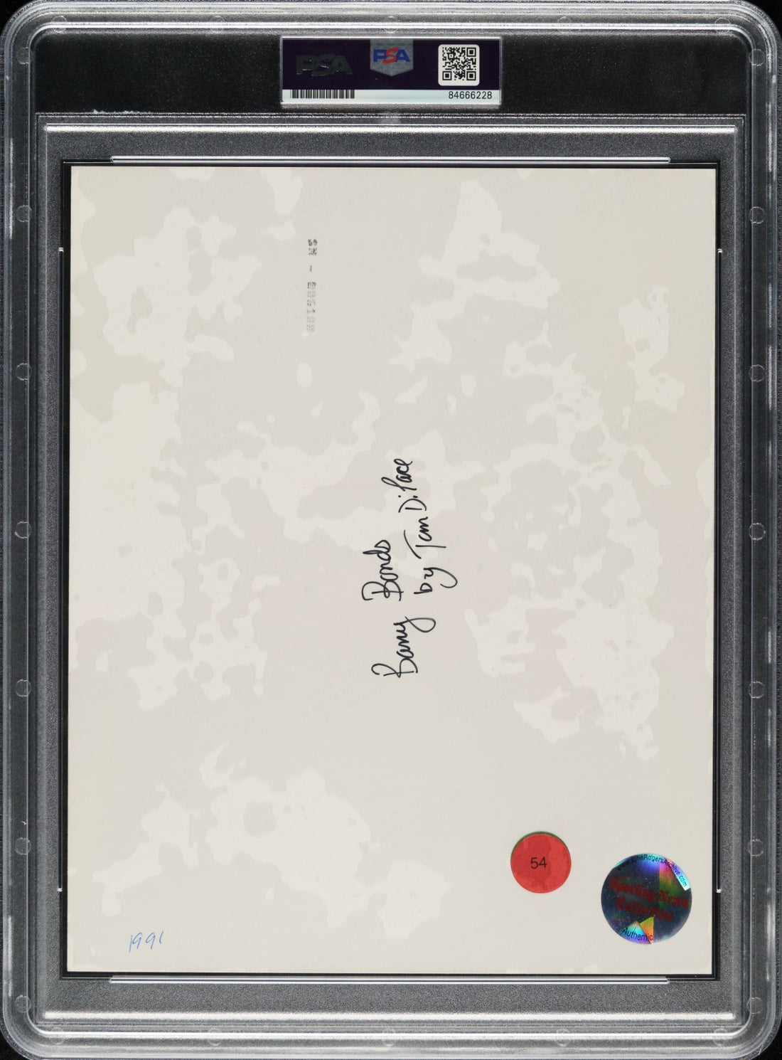 Barry Bonds Original Sporting News Photograph. Circa 1991. PSA/DNA Type I1