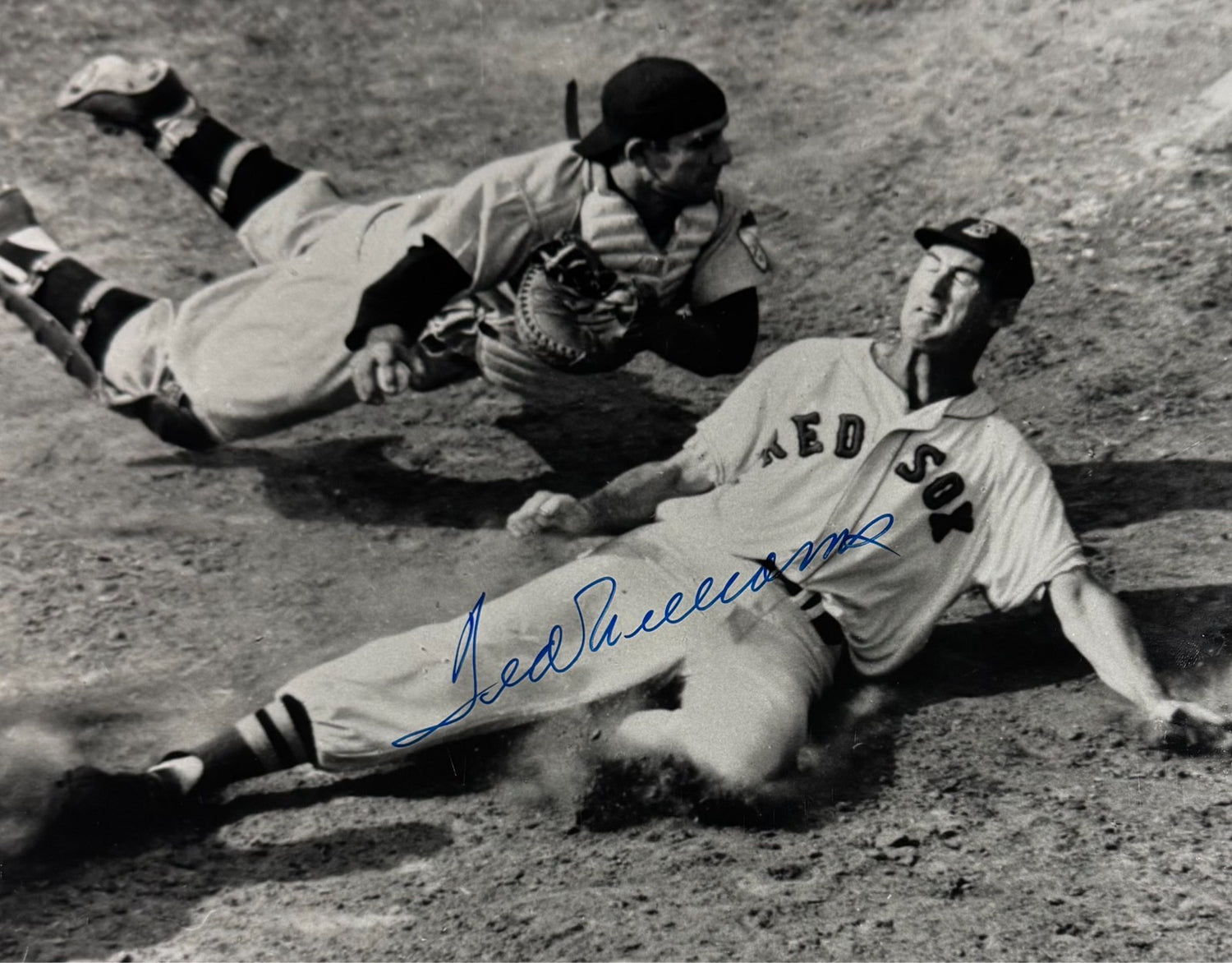 Ted Williams Signed 11" x 14" Photo. Auto JSA1