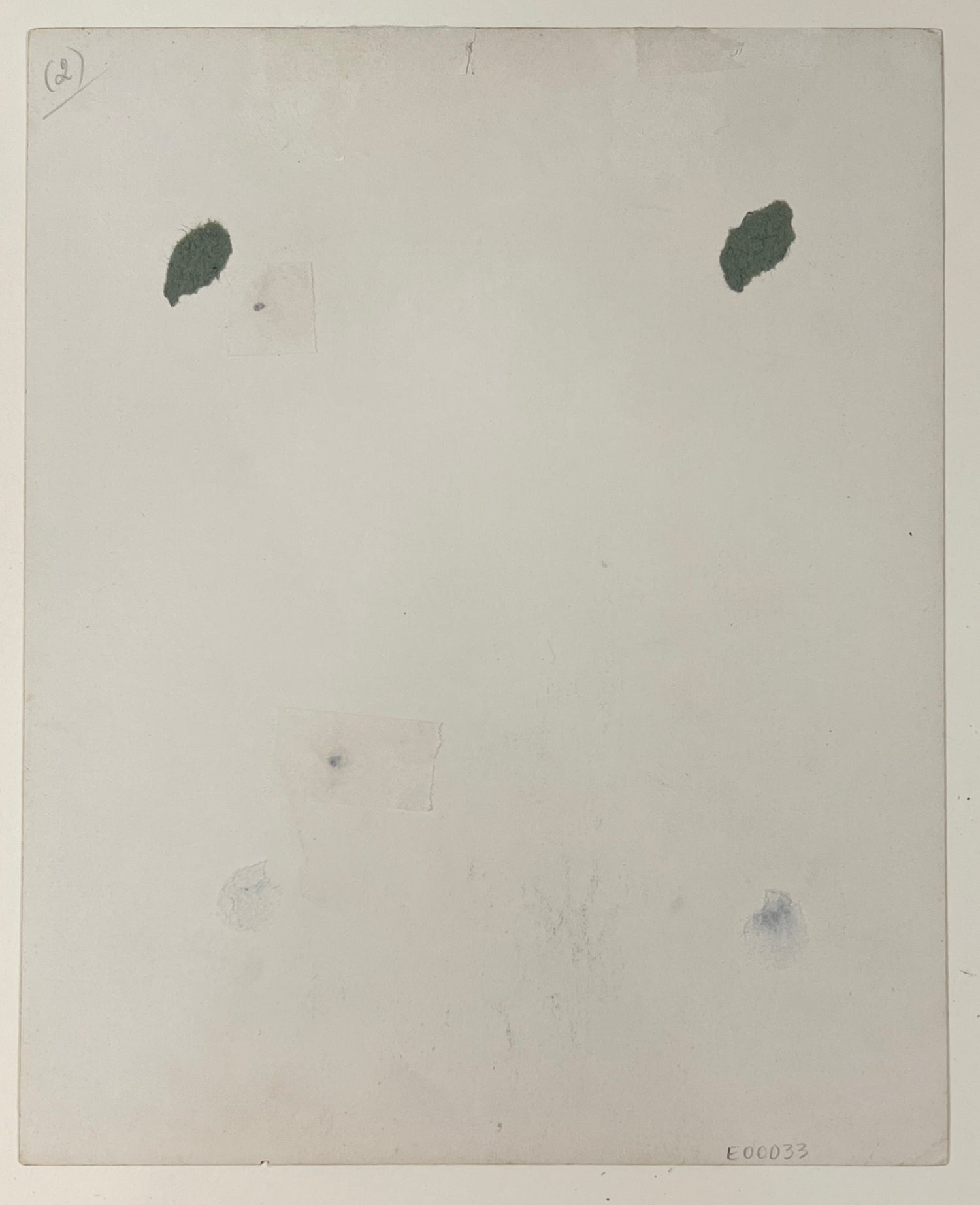 Rare Walt Disney Vintage Signed Photo. PSA