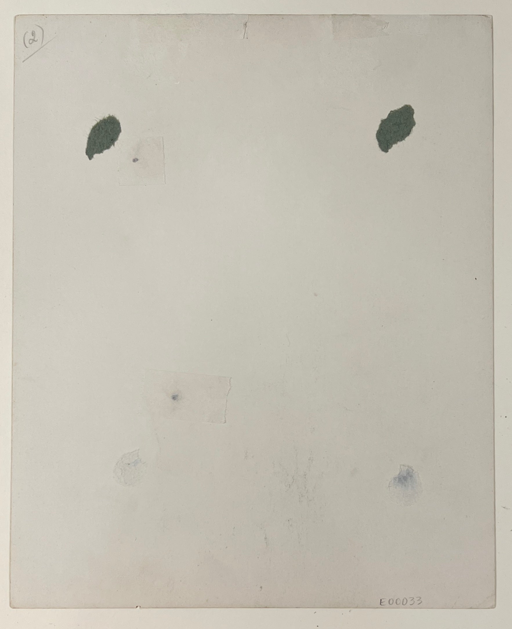 Rare Walt Disney Vintage Signed Photo. PSA