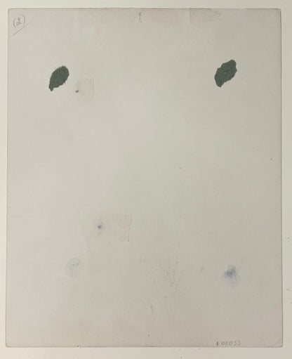 Rare Walt Disney Vintage Signed Photo. PSA