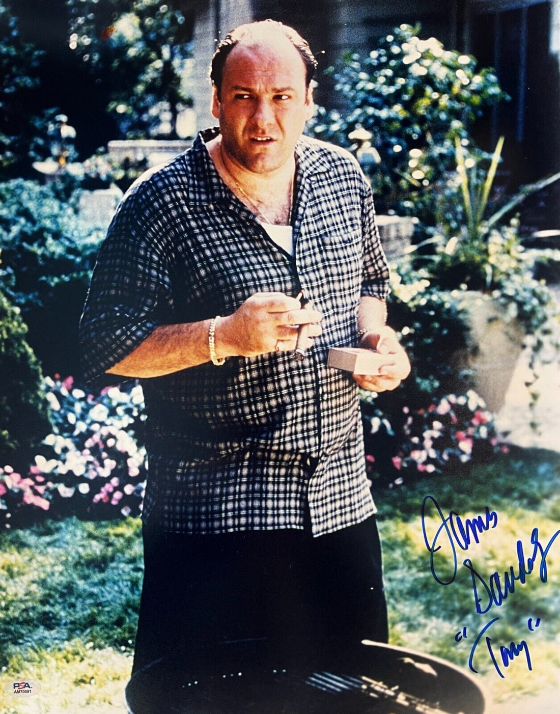 James Gandolfini Tony Soprano Signed 16x20 Framed Photo Sopranos. Autograph PSA.